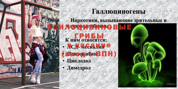 кокс Михайловск
