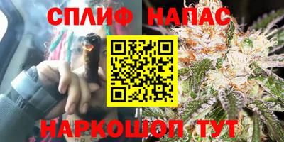 бошки Балахна