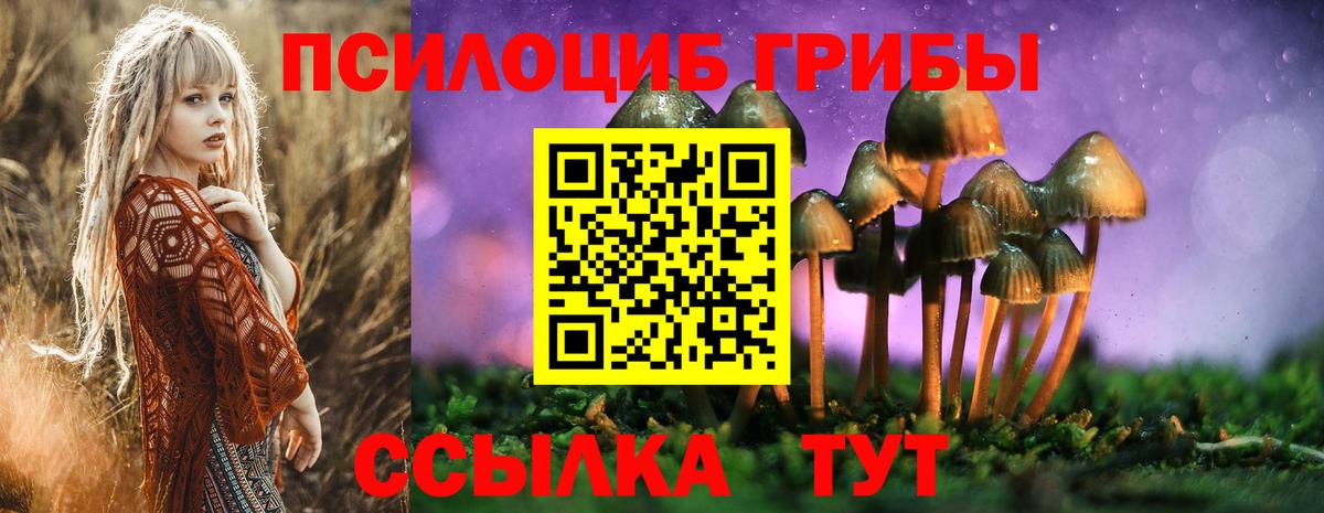 Галлюциногенные грибы Cubensis Бердск