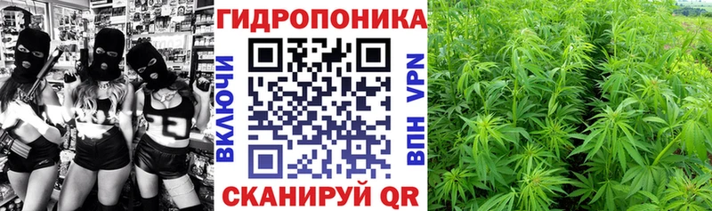 Конопля план  hydra зеркало  Бердск 